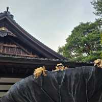 金澤〔尾山神社〕庭園古韻之美🌿⛩️