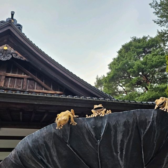 金澤〔尾山神社〕庭園古韻之美🌿⛩️