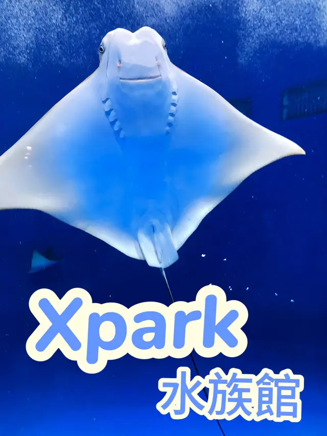 探索海底世界的美麗Xpark水族館