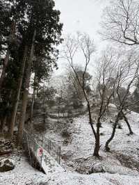 津和野城跡（需搭纜車）