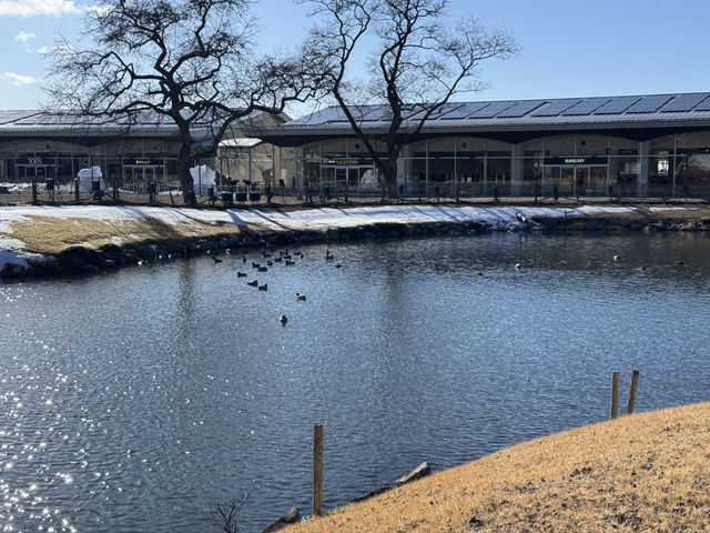 ❄️輕井澤冬日一日遊：雪中散步 × 美食 × 購物小確幸❄️