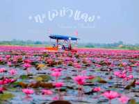 ทะเลบัวแดง อ.กุมภวาปี จ.อุดรธานี