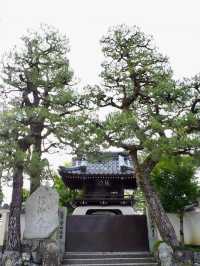 【湖に浮かぶ幻想の寺院🌕】浮御堂で静寂と絶景のひととき✨
