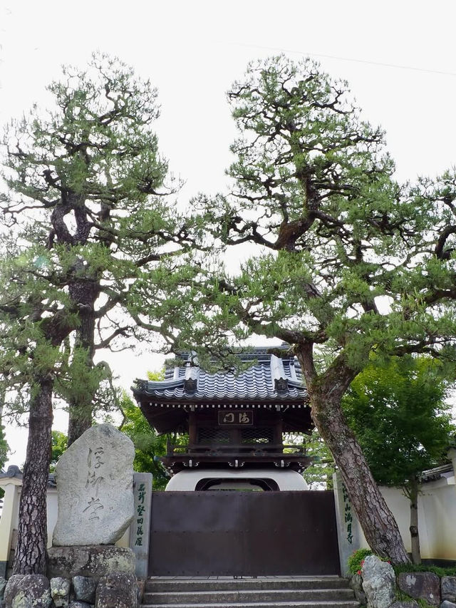 【湖に浮かぶ幻想の寺院🌕】浮御堂で静寂と絶景のひととき✨