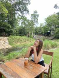 Montra Cafe ไร่วังบอน คาเฟ่ลับกลางป่า ฟีลดี 