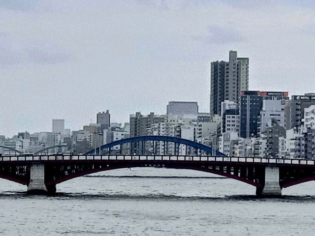 🚶‍♀️เดินชมริม Sumida River