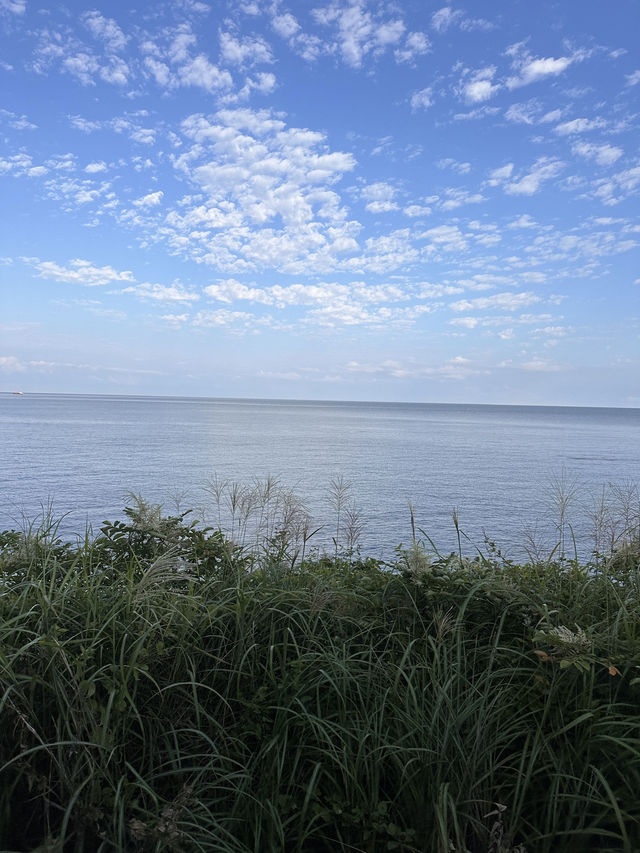 【Batumi → Kutaisi 鉄道旅｜“黒海沿岸から内陸へ、ゆったり列車で彩る旅情”】