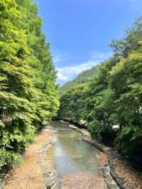 상소동 산림욕장에서 여름을 보내요🌿