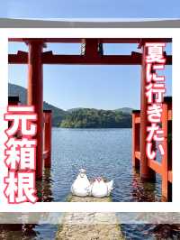 【神奈川】夏に行きたい【元箱根】