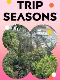 “서울 도심 속 초록 오아시스, 서울식물원 반나절 힐링 산책기🌿”