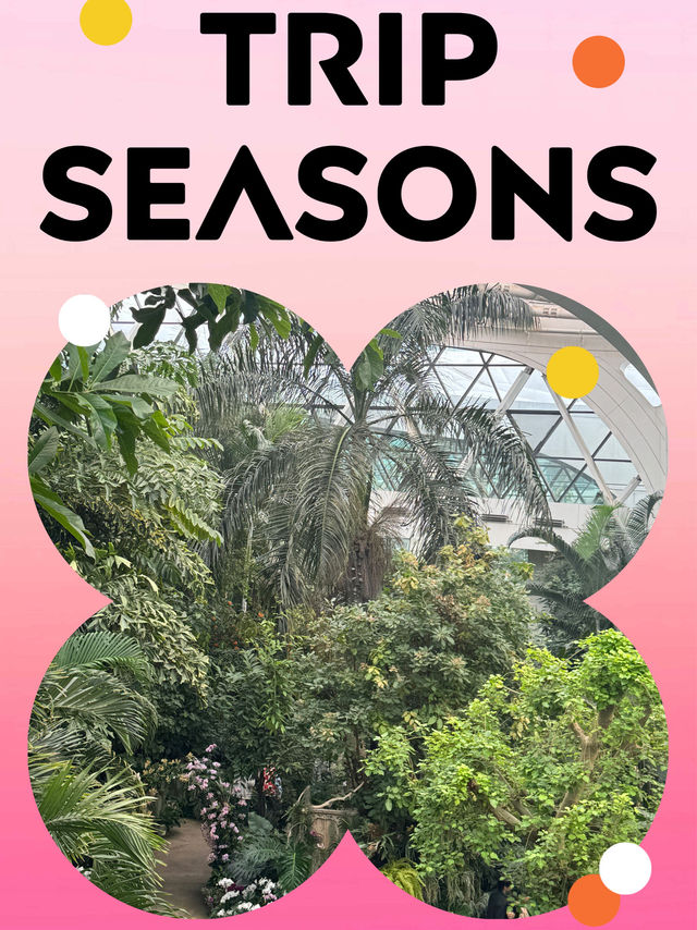“서울 도심 속 초록 오아시스, 서울식물원 반나절 힐링 산책기🌿”