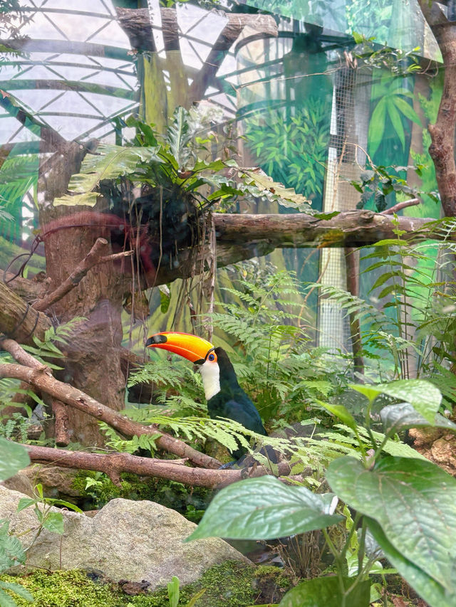 🐾台北市立動物園｜一次療癒整個動物宇宙的親子冒險，一票玩整天超值又開心！