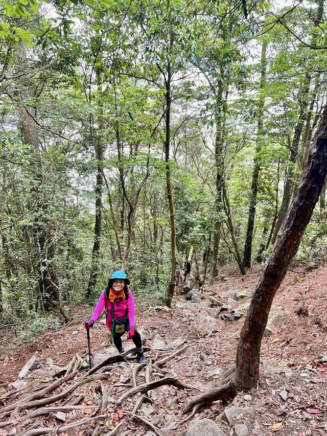 夏天就是要去中級山避暑