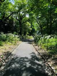 ~東莞人民公園~綠意盎然~