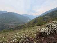 Clouds, Cranes & Walks at Phobjikha Valley Round 2