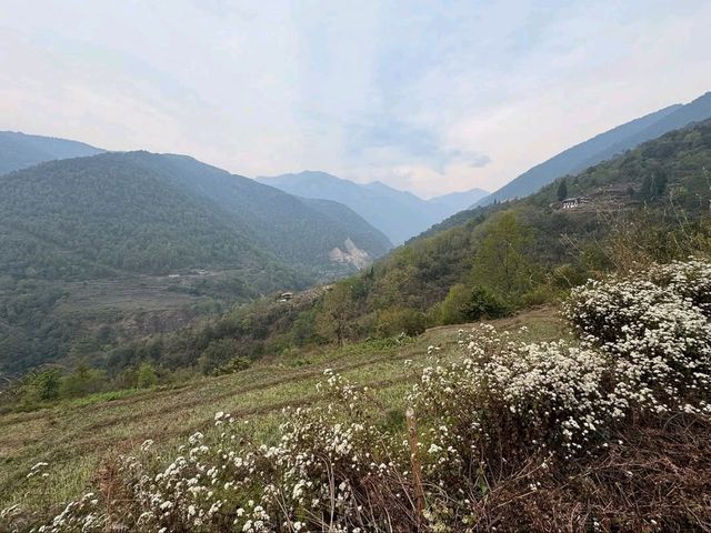Clouds, Cranes & Walks at Phobjikha Valley Round 2