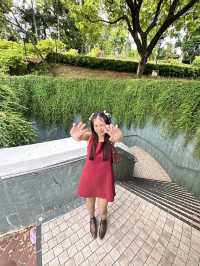 อุโมงค์ Fort Canning Tree Tunnel สิงคโปร์