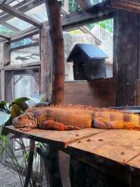 Farm in the City: A Nature Lover’s Delight