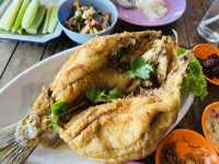 ร้านอาหารหมึกเมาคลื่น หาดกระทิงลาย