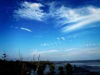 Tua Pek Kong Temple & Mangrove Walk – A Scenic Surprise in Setiawan
