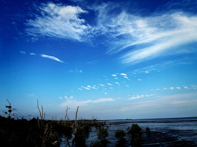 Tua Pek Kong Temple & Mangrove Walk – A Scenic Surprise in Setiawan