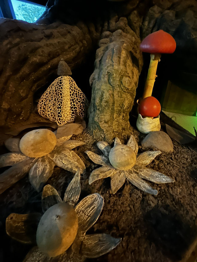 【きのこ博士館】