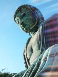 【鎌倉 長谷 高徳院の大仏、由比ヶ浜から材木座までを歩く】