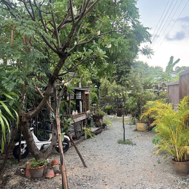☕ Mother Café – บ้านไม้ในสวน เหมาะนั่งทำงานสุดใจ  