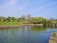 🌸 Walking Through History: A Peaceful Stroll at Goryōkaku Park