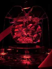 Art Aquarium Museum Ginza