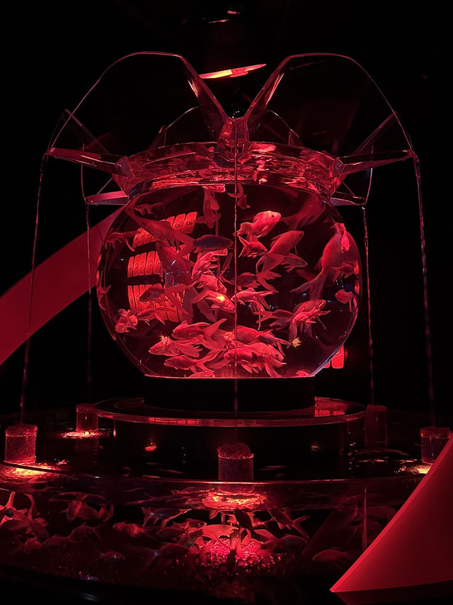 Art Aquarium Museum Ginza