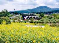 茨城花卉公園