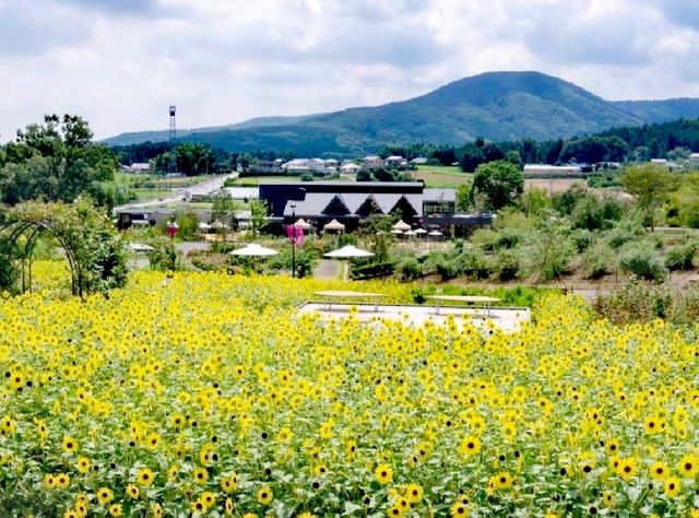 茨城花卉公園