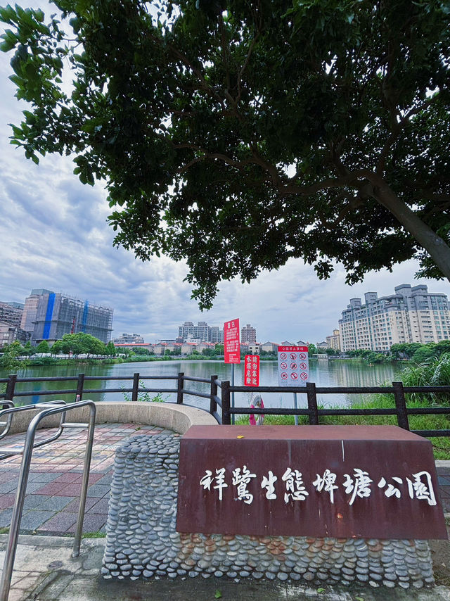 🌿祥鷺生態埤塘公園｜桃園市區裡的小森林，輕鬆散步賞水鳥的靜謐角落 🐦🌾