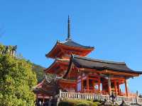 四季巡禮清水寺：京都名剎之美與儀式之心