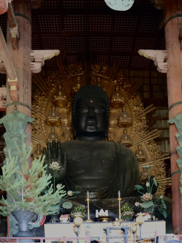 奈良で心を整える。大仏様に会いに東大寺へ。