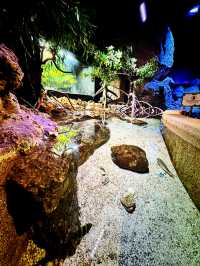 Tidal Marvels at The Coastal Zone, Aquaria KLCC