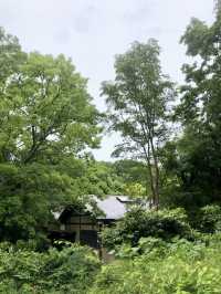 《伊豆高原/宿》自然に囲まれ、懐かしさ感じる宿