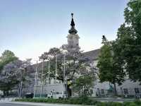 Bridges, Boulevards & Bites: A Perfect Walk Through Linz’s Historic Core