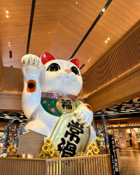 [Japan 🇯🇵] Aeon Tokoname: More Than Just Shopping & a Big Cat Friend!