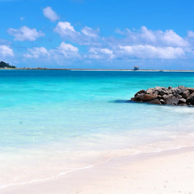 マーフシ島🏖️🌴