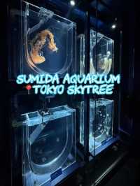 Sumida Aquarium 🐠🎏✨