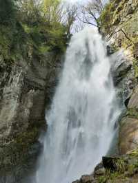 A Quick Splash of Nature at Makhuntseti Waterfall