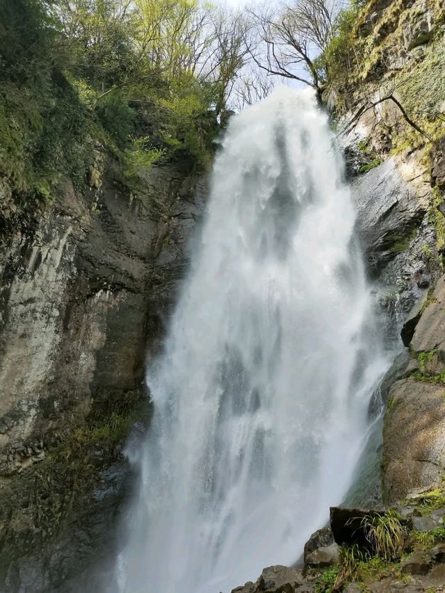A Quick Splash of Nature at Makhuntseti Waterfall