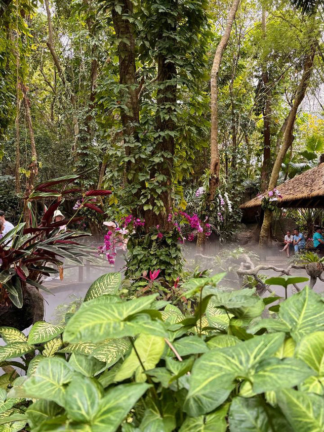 Leaving the coast behind for Yanoda Tropical Rainforest 🌴