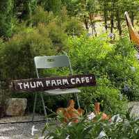 Thum Farm Cafe' - ธรรมฟาร์ม • Chonburi  🌳🏠🪵⛲️🌻