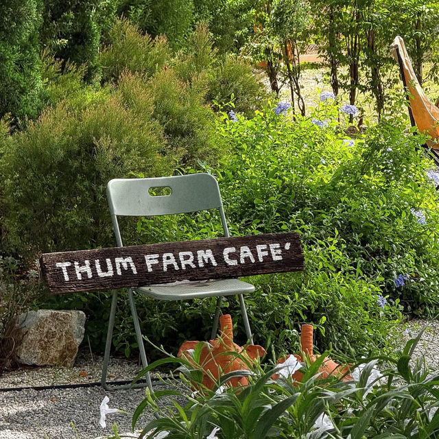 Thum Farm Cafe' - ธรรมฟาร์ม • Chonburi  🌳🏠🪵⛲️🌻