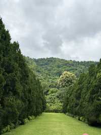รีวิวCypress Lanes สวนสวยกลางหุบเขา เชียงไหม่