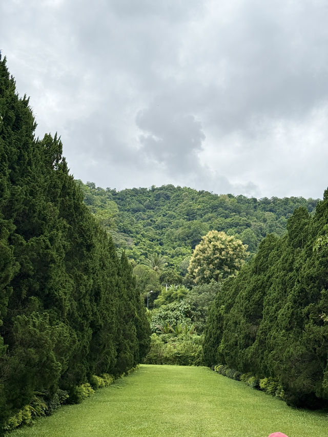 รีวิวCypress Lanes สวนสวยกลางหุบเขา เชียงไหม่