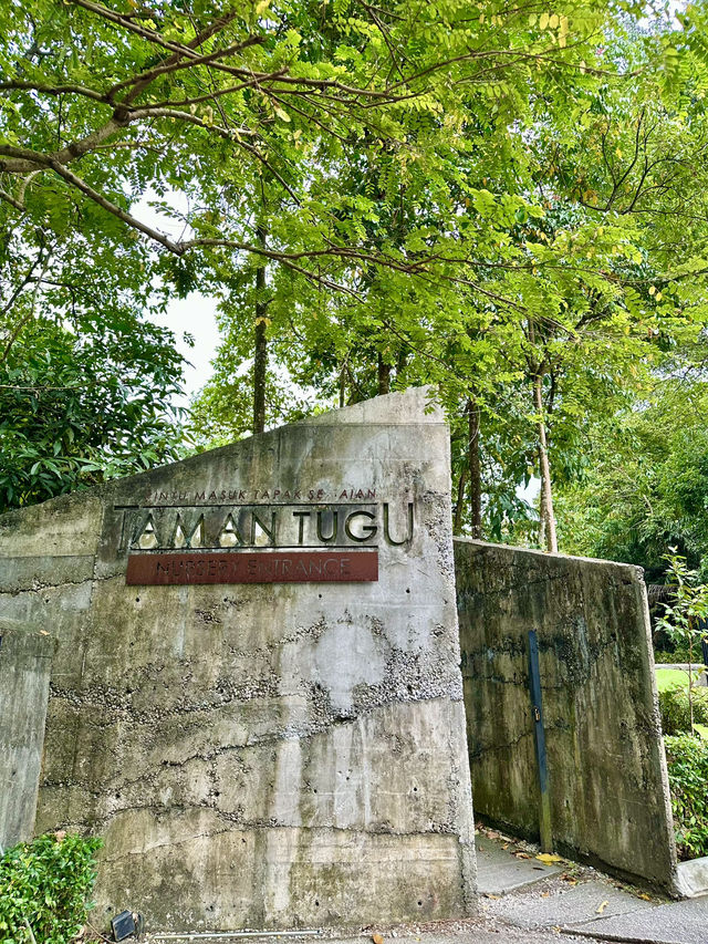 Free & Serene: Why Locals Love Taman Tugu’s Trails
